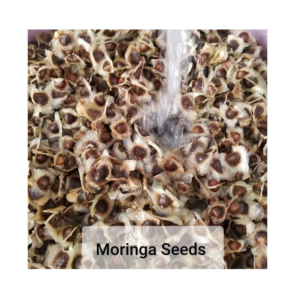 Jamaican Herbs & Spices Organic Dried Moringa Leaves